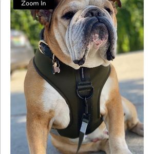 Olive Dog Harness Maxbone